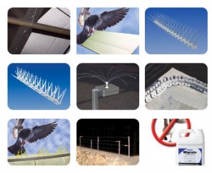bird-control-products